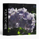 Search for hydrangea flowers binders Nature