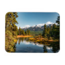 Search for flathead magnets Mountains