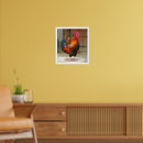 Recherche de coqs colorés posters Ferme