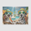 Search for vacas For kids