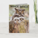 Search for owl fathers day cards Birds