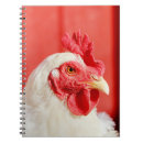 Search for chickens notebooks Rooster