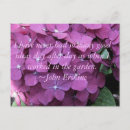 Recherche de hortensia cartes postales Violet