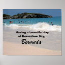 Recherche de cheval de baie posters Bermuda