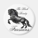 Search for friesian magnets Stallion