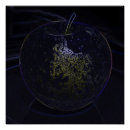 Search for glow in the dark posters Gold