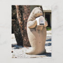 Search for florida manatee postcards Ocean