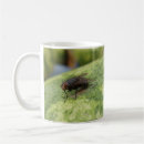 Recherche de fly tasses Muqueuse