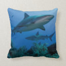 Recherche de shark pillows Bleu