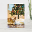 Search for pembroke christmas cards Cute