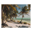 Recherche de mer turquoise posters Palmiers