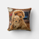 Search for labrador pillows Funny