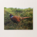 Recherche de faisans puzzles Oiseaux