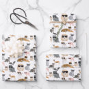 Search for sunglasses wrapping paper Animals