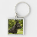 Search for scottish terrier keychains Animal