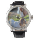 Recherche de chèvres montres Photographie