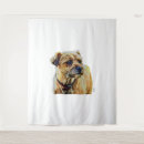 Recherche de border terrier posters Chiot