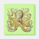 Recherche de poulpe vintage magnets Antique