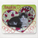 Recherche de jambe tapis souris Chaton