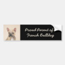 Search for french bulldog bumper stickers Frenchie