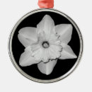 Search for daffodil ornaments Easter