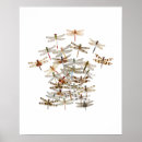 Search for swarming art Butterfly