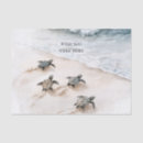 Search for sea turtle tissue paper Seaside