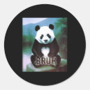 Search for retro funny stickers Animal