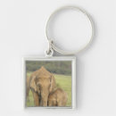 Search for indian elephant keychains Corbett