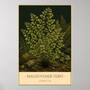 Search for fern illustration posters Botanical
