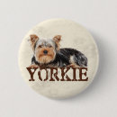 Search for yorkie lover buttons Puppy