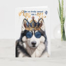 Search for siberian husky dog birthday cards Pets