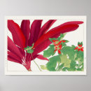 Search for poinsettias posters Floral