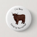 Search for highland buttons Cattle