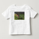 Search for limerick tshirts Irish