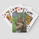 Recherche de headshot jeux de cartes Pomeranian