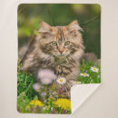 Search for animal head blankets Cat