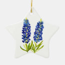 Search for texas bluebonnet ornaments Texan