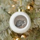 Search for tabby cat ornaments Grey