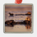 Search for otter ornaments Animal