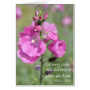 Recherche de rose trémière cartes postales Nature