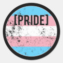 Search for trans pride stickers Lesbian