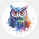 Search for colourful owl stickers Cute