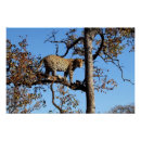 Recherche de léopards posters Tacheté