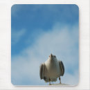 Search for gull mousepads Bird
