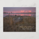 Search for bird words postcards Wildlife