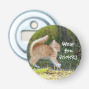Search for kitten barware Ginger