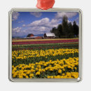 Search for valley ornaments Pattern