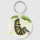 Search for caterpillars keychains Bug
