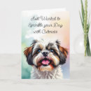 Search for shih tzu cards Puppy